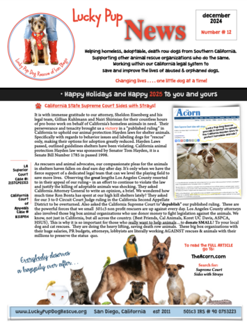 lucky pup dog rescue newsletter dec 2024