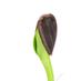 Media, Rockwool, Grodan, ParGro, Perlite, Vermiculite, Peat, Coco, Coco Coir, Potting Soil, Potting Mix, Soil Amendments, Soilless Mixes
