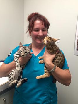 Dr. Ginger Langan with feline patients