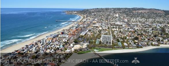 Pacific Beach Bee Removal