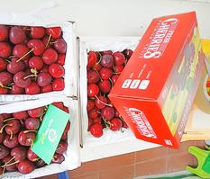 Bán quả Cherry New Zealand tại Hà Nội