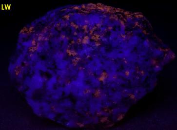 SW LW fluorescing Plagioclase Albite Anorthite, scapolite, biotite mica, corundum sapphire, York River, Dungannon, Hastings, Ontario, Canada