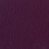 Purple berry door colour