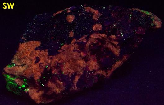 fluorescent FLUORAPATITE, BUSTAMITE, WILLEMITE, ANDRADITE, DIOPSIDE SCHEFFERITE, CALCITE, Franklin Mine, Franklin, Franklin Mining District, Sussex County, New Jersey, USA - type locality