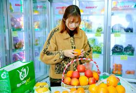 mua giỏ hoa quả ở đâu tại Hà Nội