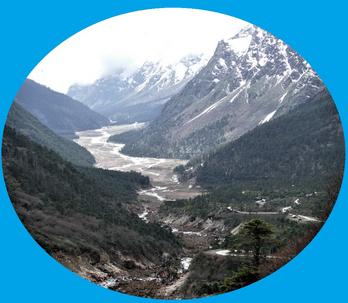 Yumthang Valley The Valley of Flour Tour North Sikkim Tour Packages