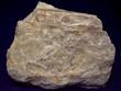 fluorescent TREMOLITE and CLINO-SUENOITE / ANTHOPHYLLITE - Balmat, Balmat–Edwards Zinc District, St. Lawrence County, New York, USA - for sale