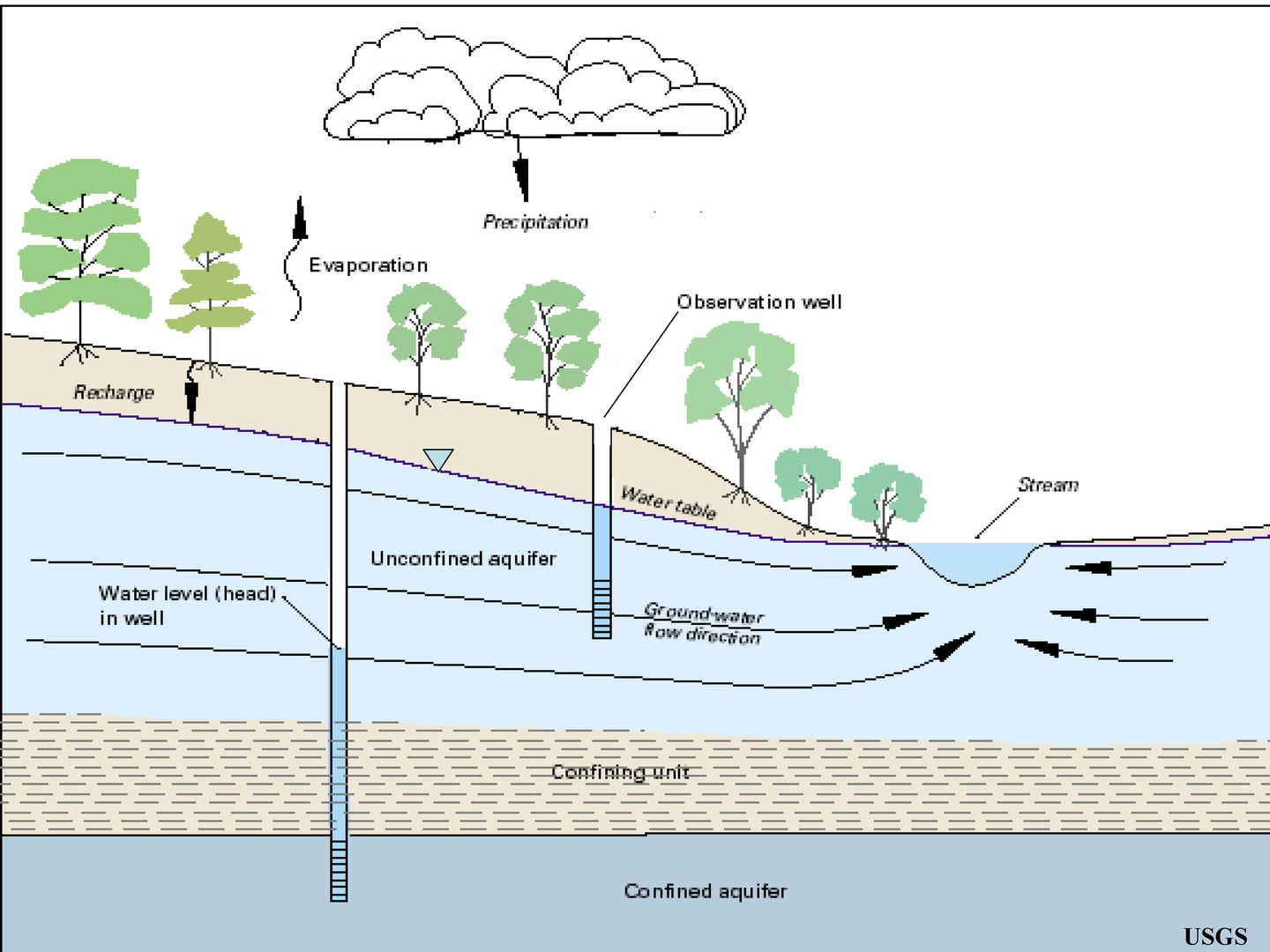 Water Table Aquifer Diagram