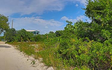 Verdant Lot on Main North Caye Road