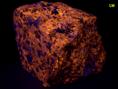 fluorescent SODALITE, ACMITE AEGIRINE - Poudrette quarry (Demix quarry; Uni-Mix quarry; Desourdy quarry; Carrière Mont Saint-Hilaire; MSH), Mont Saint-Hilaire, La Vallee-du-Richelieu RCM, Monteregie, Quebec, Canada - for sale