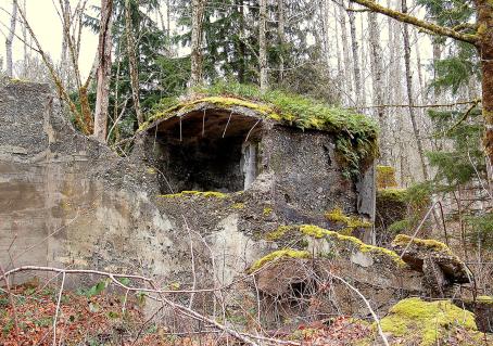 Ghost Town of Selleck King County Washington