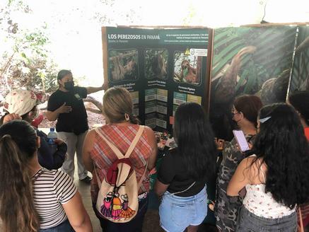 sloth sanctuary tour panama