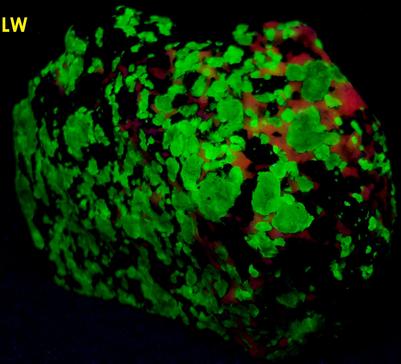 fluorescent Willemite and Calcite, black Franklinite, Franklin Mine, Franklin, Franklin Mining District, Sussex County, New Jersey, USA