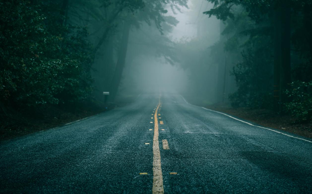 dark and gloomy road nature lovers forest landscape