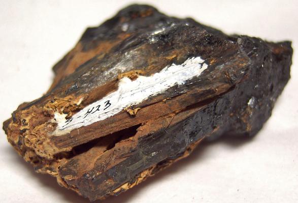 ILVAITE crystals - classic locality - Elba Island, Livorno Province, Tuscany (Toscana), Italy