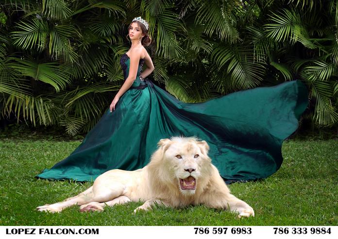 quince photography miami tiger lion secret gardens location