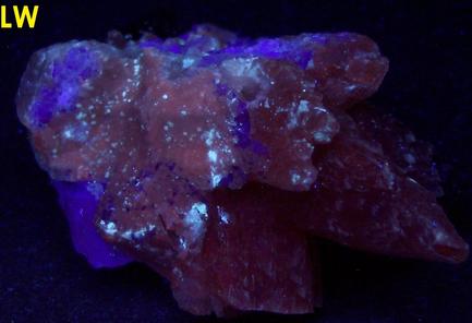 fluorescent CALCITE, FLUORITE, SPHALERITE, Cave-In-Rock (Minerva No. 1 Mine), Cave-in-Rock Sub-District, Illinois - Kentucky Fluorspar District, Hardin County, Illinois, USA