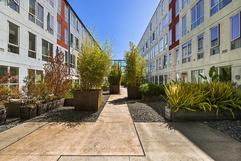 Outside common garden