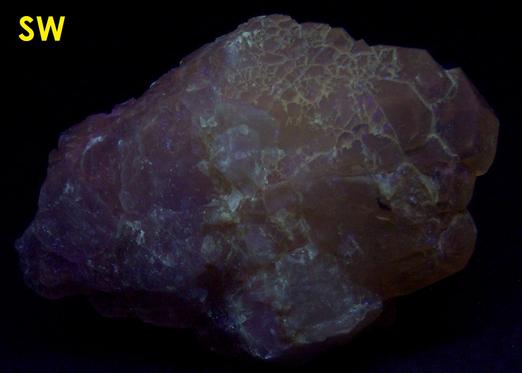 fluorescent CALCITE, York Building Supply quarry (Roosevelt Avenue Quarry; Roosevelt quarry; York Stone Quarry; Delta Carbonate quarry), York, York County, Pennsylvania, USA