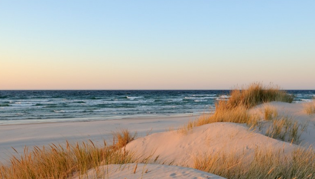 Bass River Blinds Custom Window Blinds, Shades, Plantation Shutters