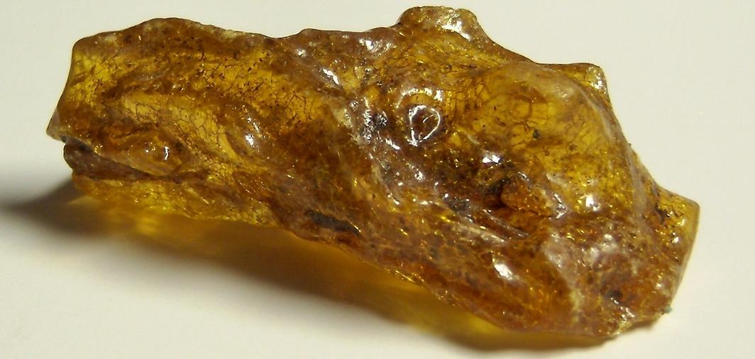 Fluorescent golden AMBER - Dominican Republic, ex Sue MacInnis