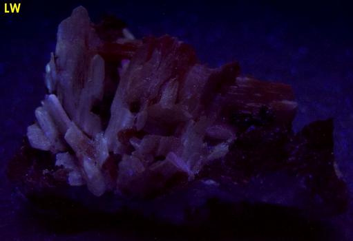 fluorescent CERUSSITE - Superfund site - Bunker Hill Mine (Tyler; Stemwinder; Bunker Hill and Sullivan; Bunker Chance Mine), Bunker Hill properties, Kellogg, Coeur d'Alene District, Shoshone County, Idaho, USA