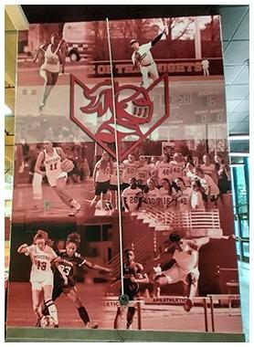 full color print wall mural
