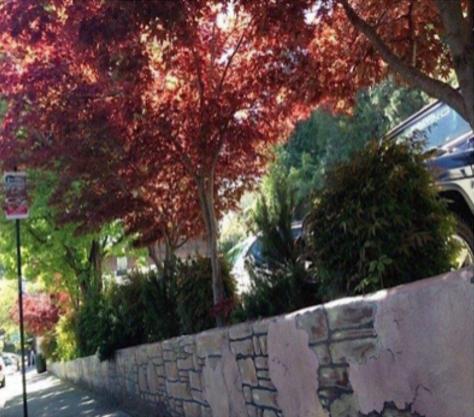 Mooney Lot Garden Designed and Cared for by Debra Power Photo by Josette Johnson