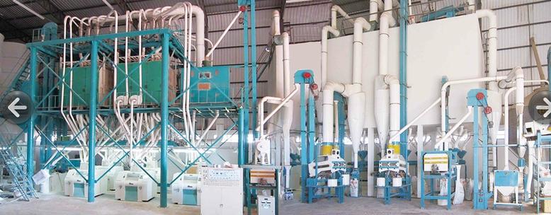 80 tons wheat milling plant