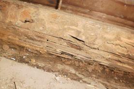 Termite Damage