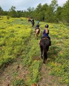 Lessons &Trail Rides