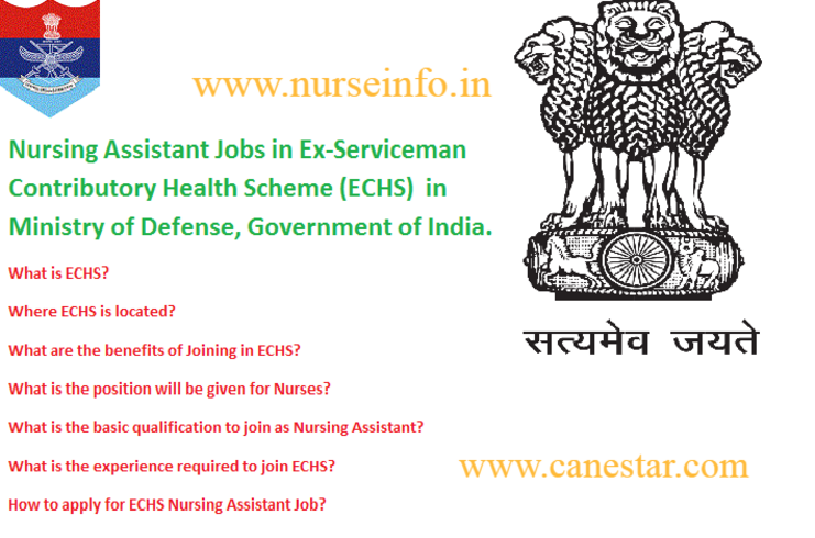 nursing assistant jobs, echs, ex servicemen scheme