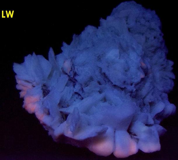 fluorescent GYPSUM SELENITE - Guerrero Negro, Mun. de Mulege, Baja California Sur, Mexico