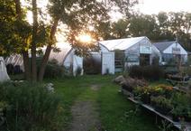 Natural Environments Greenhouses