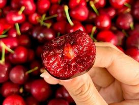 hoa quả nhập khẩu Quả cherry có tác dụng gì?