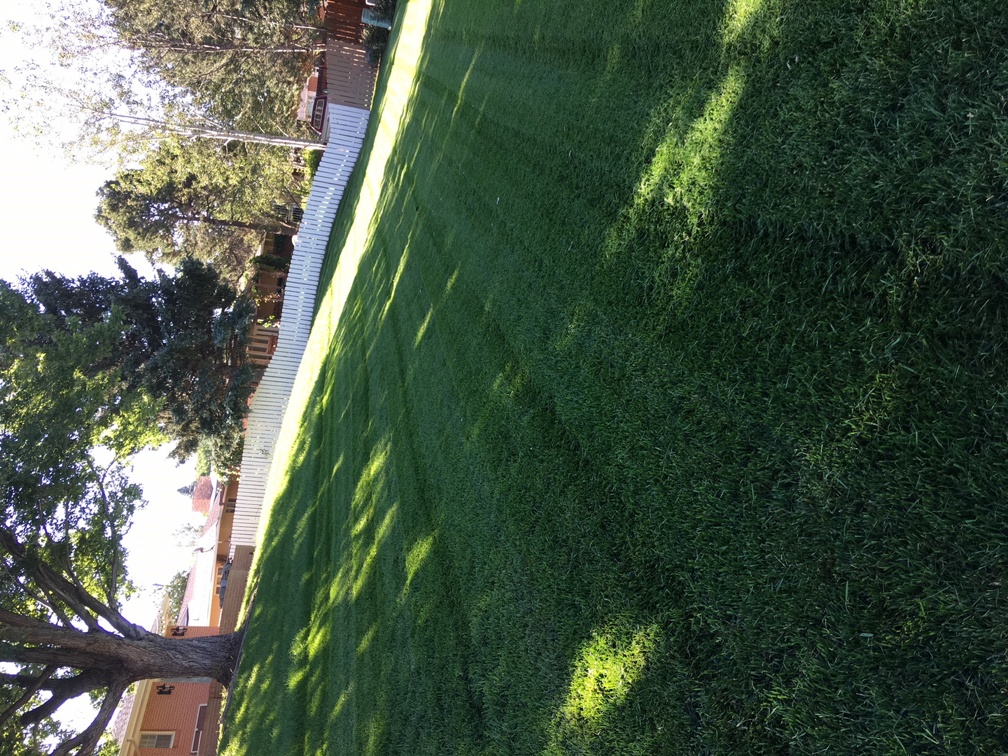 Thomas Lawn Care - Aeration, Lawn Care, Aeration, Lawn Service