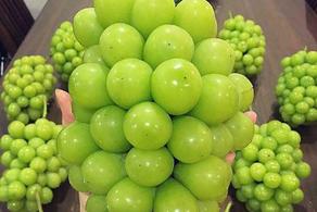 Hoa quả nhập khẩu tại Trần Duy Hưng