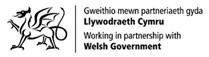 Link to the Welsh Government website