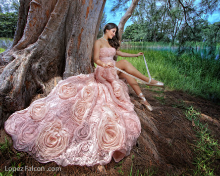 Quinceanera Ballet Photography Miami Quince Ballerina Photo Studio in ...