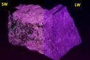 Pink SW LW fluorescing Agrellite, Eudialyte, Britholite-(Ce) crystals,Amphibole, Kipawa alkaline complex, Les Lacs-du-Temiscamingue, Temiscamingue RCM, Abitibi-Temiscamingue, Quebec, Canada