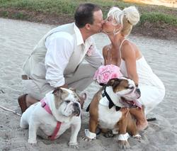 cheap weddings in san diego