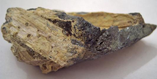 STIBICONITE pseudomorph after STIBNITE - San José Mine, Wadley, Mun. de Catorce, San Luis Potosí, Mexico - ex F. D'Esopo