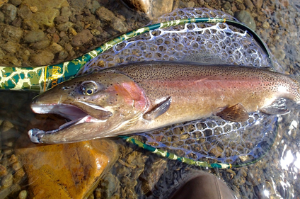 Uncompahgre River at Pa-Co-Chu-Puk Fly Fishing Report March 4th, 2017