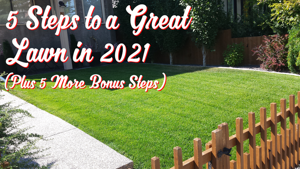 5 Steps to a Great Lawn in 2021 | FT Property Services Inc. | Calgary, Alberta