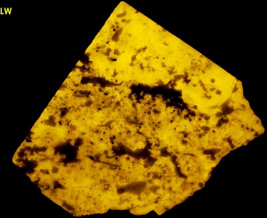 fluorescent SCAPOLITE WERNERITE, Marialite-Meionite, TREMOLITE, PYRITE - Grenville Scapolite Prospect, Grenville-sur-la-Rouge, Argenteuil RCM, Laurentides, Québec, Canada - ex Grace and Kennard Borden, ex Morris Museum