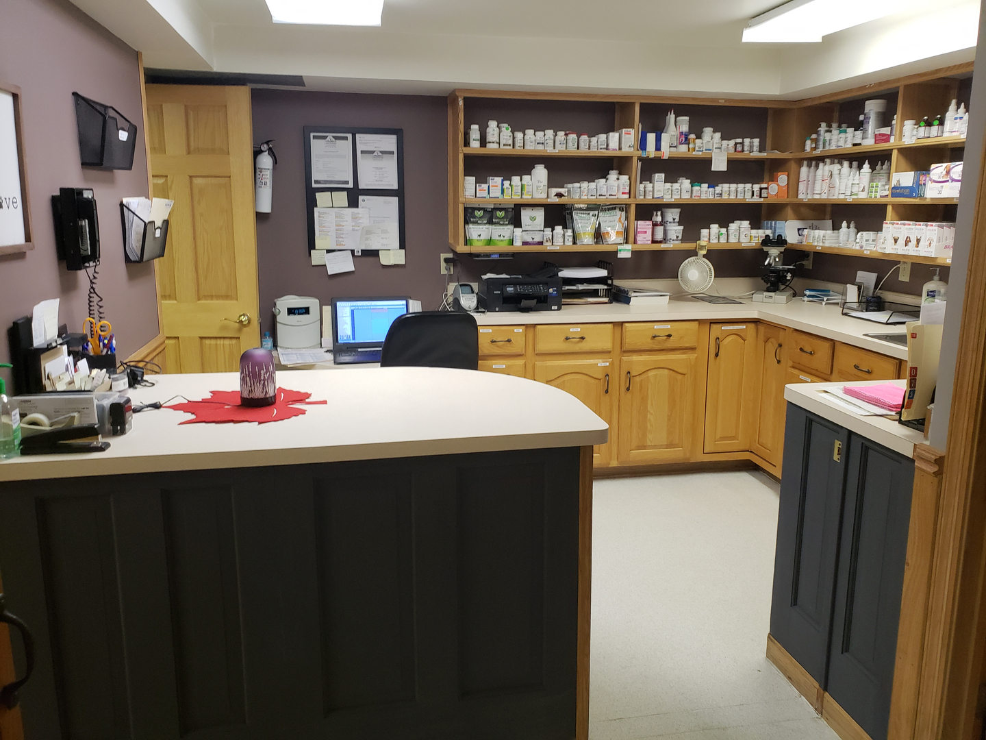 West Bend Animal Hospital Veterinarian Dog Grooming Dog Boarding