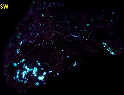 hydrocarbon mineral fluorescent IDRIALITE CURTISITE - Skaggs Springs Mine, Skaggs Springs, Warm Springs Dam, Coast Range, Sonoma County, California, USA