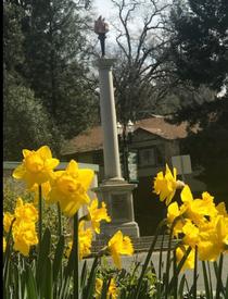 Druid Monument Landmark Photo by Josette Johnson for Community Pride Volunteers. Placerville, California