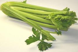 Celery