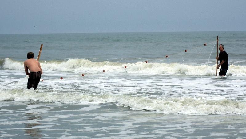 Man and boy working a seine net in the surf in Jacksonville